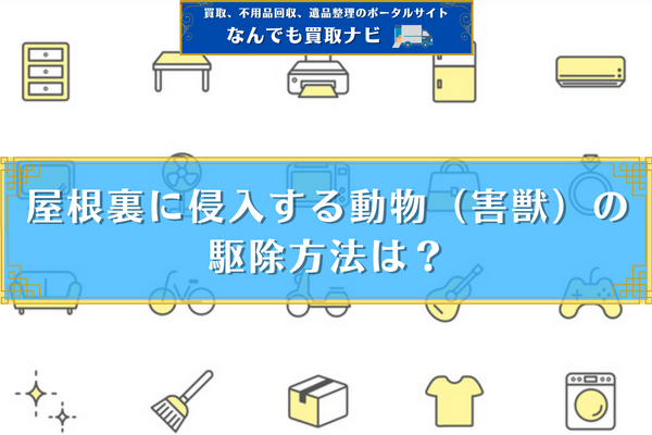 屋根裏に侵入する動物（害獣）の駆除・追い出す方法は？おすすめの業者も